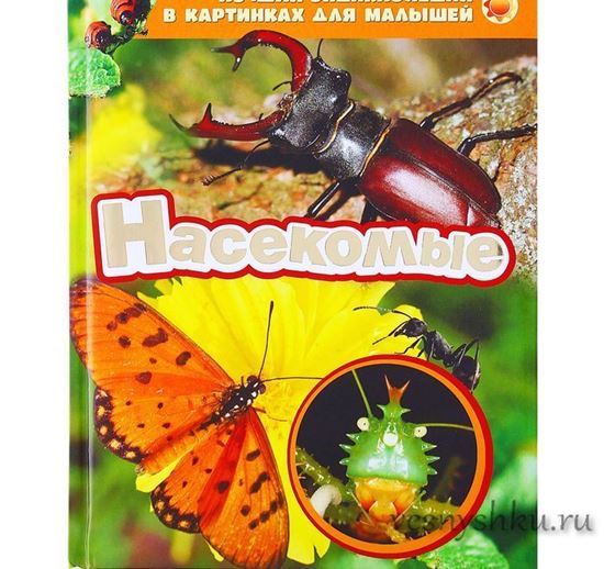 Лучшая энциклопедия насекомые главная